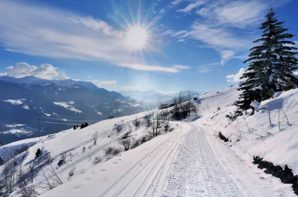 Besneeuwde weg in de winter — Stockfoto