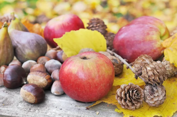 Sarı yapraklar meyve