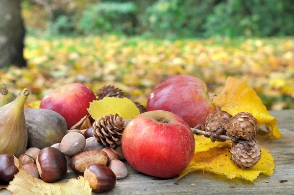 Autumnal fruits among yellow leaves — Stock Photo, Image