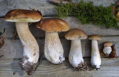 ceps bir tahta üzerinde hizalı 