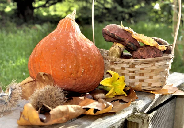 Autumnal fruit and vegetable — Stock Photo, Image
