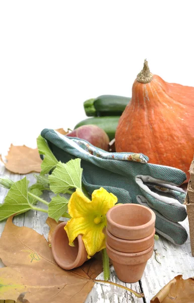 Autumal garden table — Stock Photo, Image