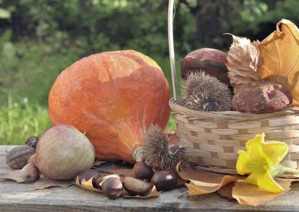 Fruits and vegetable in autumn — Stock Photo, Image