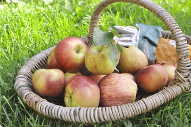 Sepetteki elmalar 