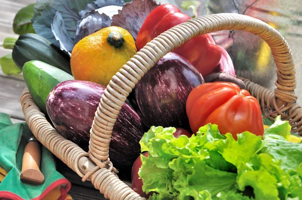 Warzyw w koszyku — Zdjęcie stockowe