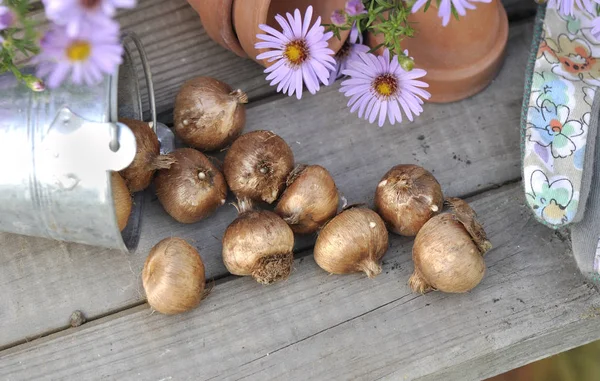 Bombillas en una mesa de jardín — Foto de Stock