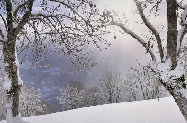 Paesaggio invernale in montagna — Foto Stock