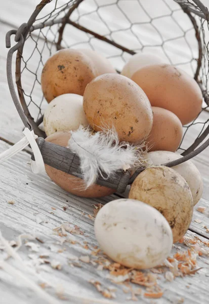 Uova fresche di sporco nel cestino — Foto Stock