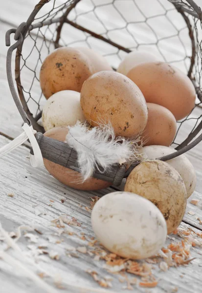 Oeufs de saleté frais dans le panier — Photo