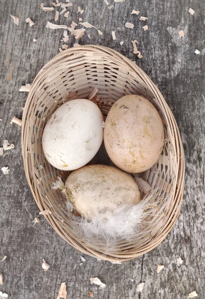 Fresh dirty eggs in basket — Stock Photo, Image