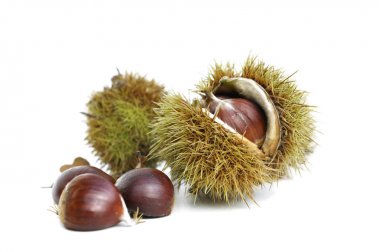 Beyaz arka planda chesnuts 