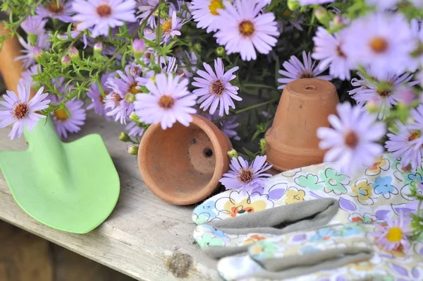 Schop, handschoenen en bloemen — Stockfoto