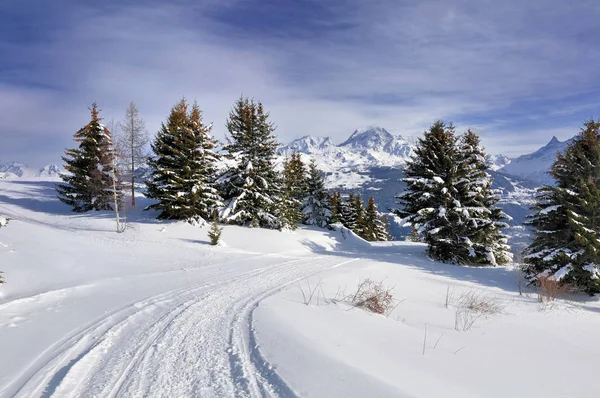Cesta ve sněhu — Stock fotografie