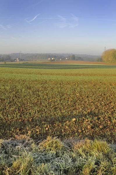 프랑스 시골에서 필드 — 스톡 사진