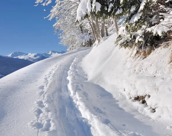 Path in the snowy mountain — Stock Photo, Image