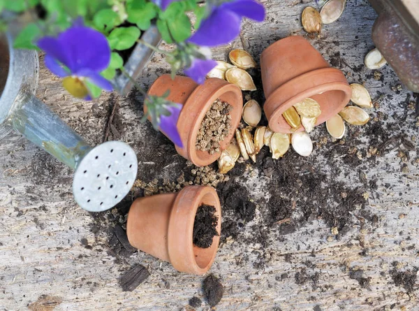 Seeds in opposite pots  on a plank — Stock Photo, Image