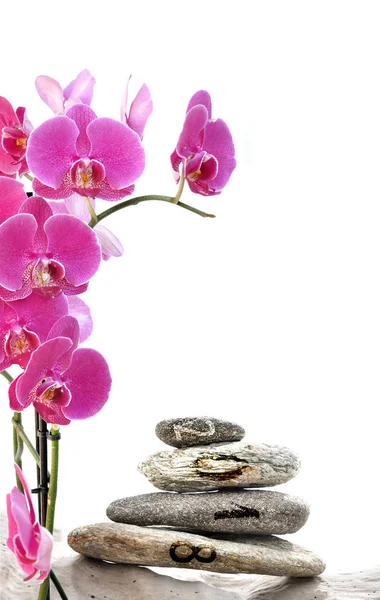 Orchid en 2018 geschreven op kiezels gestapeld — Stockfoto