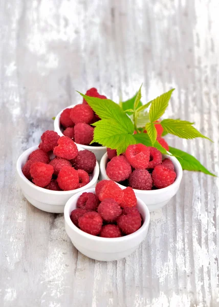 Fresh raspberries in little bowls — Stock Photo, Image