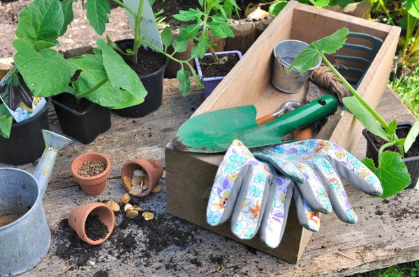 Attrezzi da giardinaggio in una scatola — Foto Stock