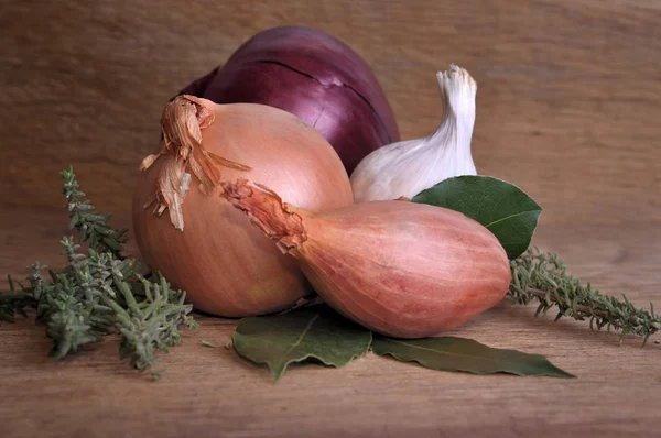 Cipolle, scalogno, aglio ed erbe aromatiche — Foto Stock