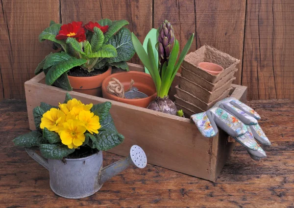 Bunga musim semi dan aksesoris berkebun — Stok Foto