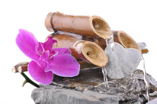 Orchid and heart on a little fountain — Stock Photo, Image