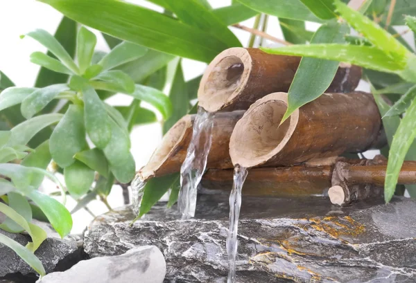 Küçük bambu çeşme — Stok fotoğraf