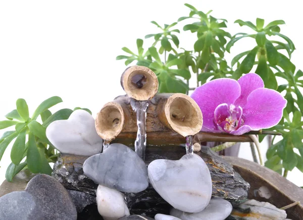 Orquídea y piedra en forma de corazón en una fuente —  Fotos de Stock