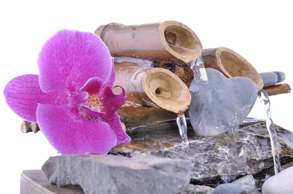 Orquídea y corazón en una fuente pequeña —  Fotos de Stock