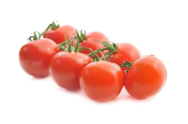 Tomaten mit Tropfen im Atelier bedeckt — Stockfoto