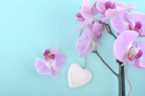 Orchidea e cuore bianco in legno — Foto Stock