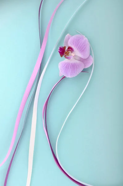 Flor rosa de orquídea em fita — Fotografia de Stock