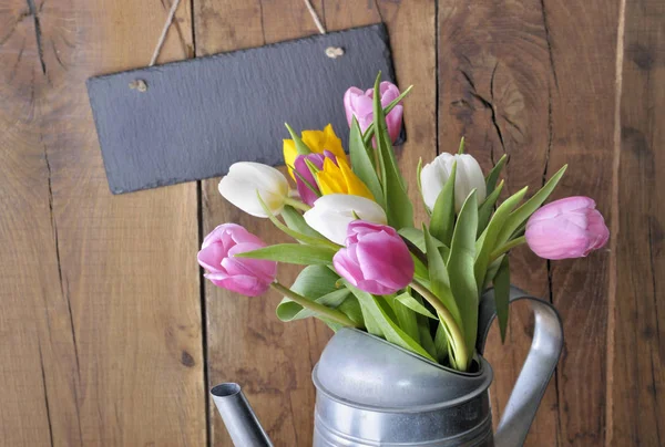 Frische und farbenfrohe Tulpen — Stockfoto