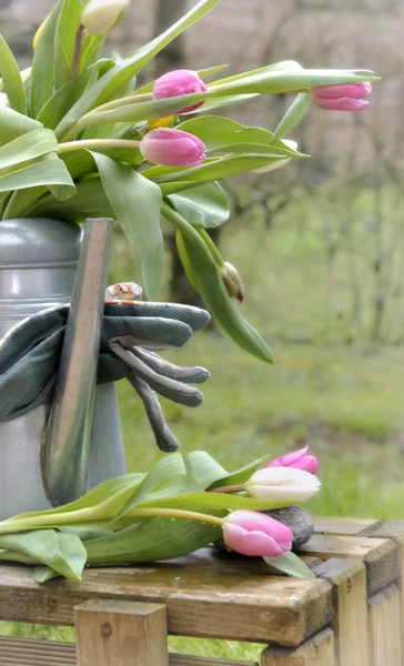 Bukiet tulipanów w konewki — Zdjęcie stockowe