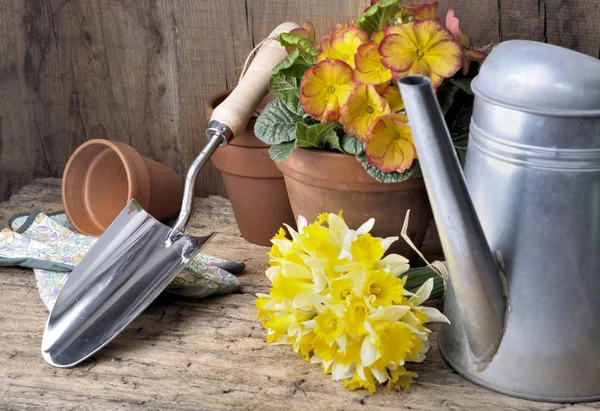 Садовые инструменты и цветы — стоковое фото