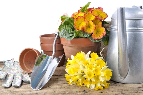 Blommor och trädgårdsredskap — Stockfoto