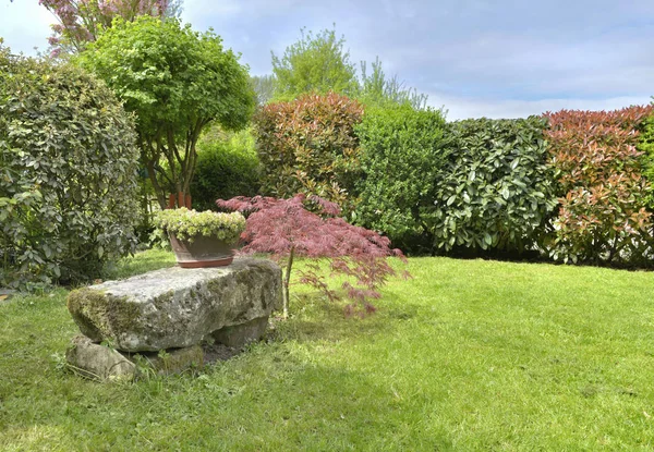 Countryside ornamental garden — Stock Photo, Image