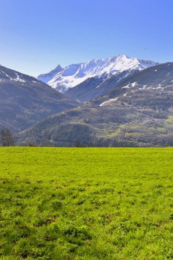 ilkbaharda dağ manzarası