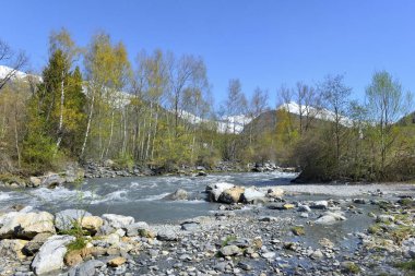 Alp nehir buzlu baharda akan