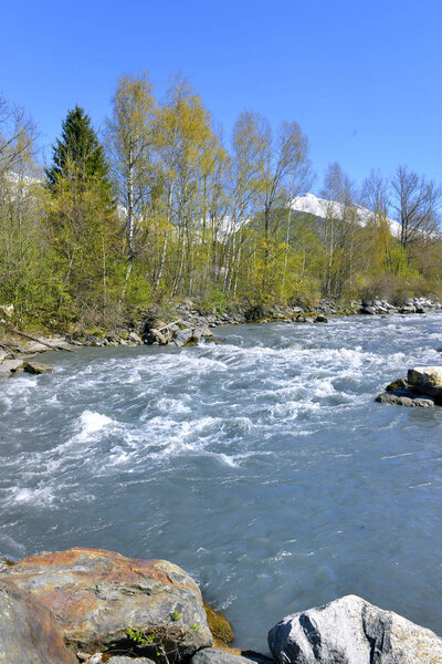 alpine river flowing in spring 
