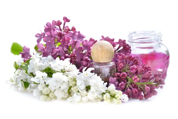 Kolbe blant blomster av rosa og hvit syrin – stockfoto