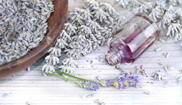 Essentiële olie van lavendel in een omgekeerde fles en gedroogde flo — Stockfoto