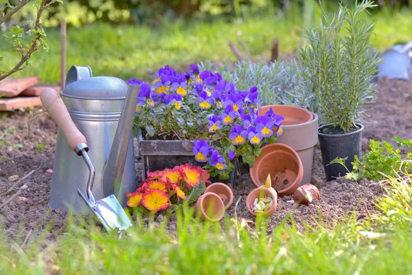 Tuingereedschap en bloempotten op de grond in een tuin — Stockfoto