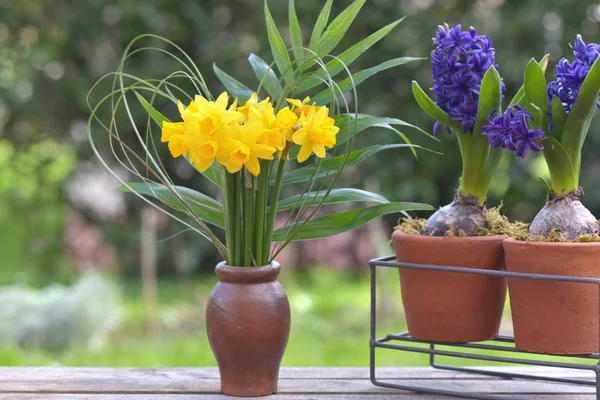 Bukett påskliljor och hyacint krukväxter blommar i en trädgård — Stockfoto