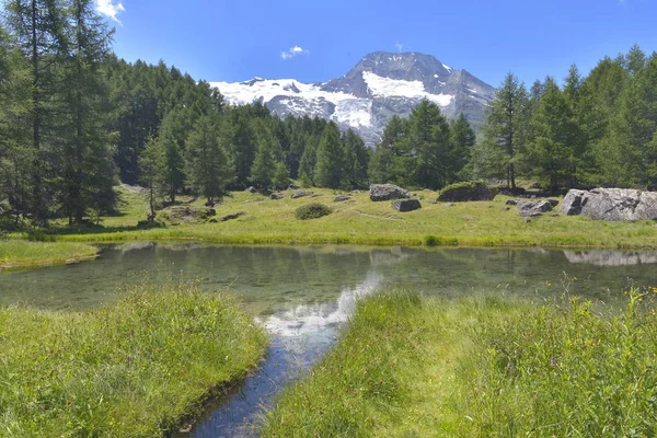 View on a river in a greenery valley with view on forest and glacier in summer — Stock Photo, Image