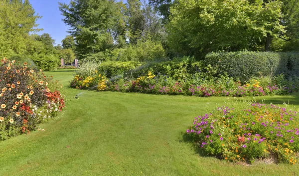 Beautiful landscaped garden   in summer — 스톡 사진