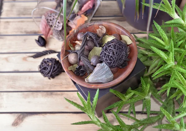 Potpourri and succulent plant in pot on a wooden table — Stock Photo, Image