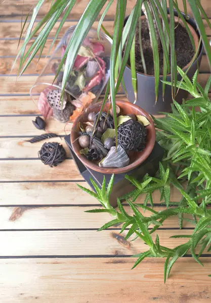 Potpourri e pianta in vaso su un tavolo di legno — Foto Stock