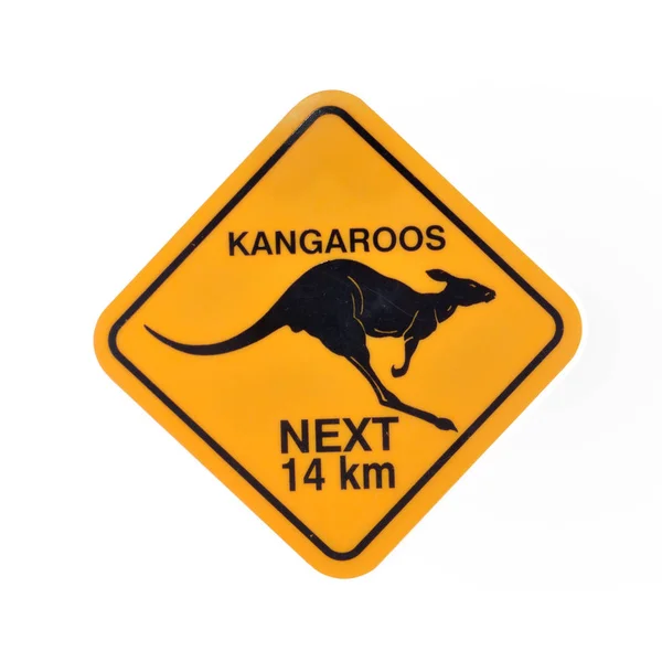 Australia roadsign caution koalas isolated on white background — Stock Photo, Image