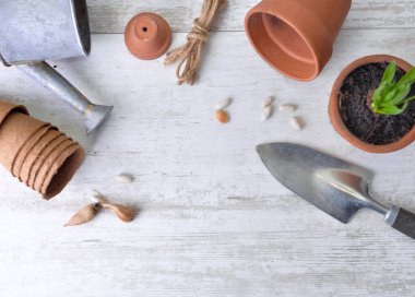 Sümbül, kürek ve çiçek saksısını beyaz bir masada sulandıran küçük bir teneke kutuyla görmek.